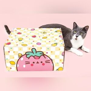 Summer 2024 Pusheen Cat Kit New Unopened